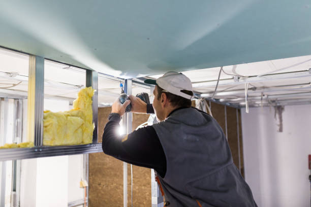 Best Professional Insulation Contractor  in Velda City, MO
