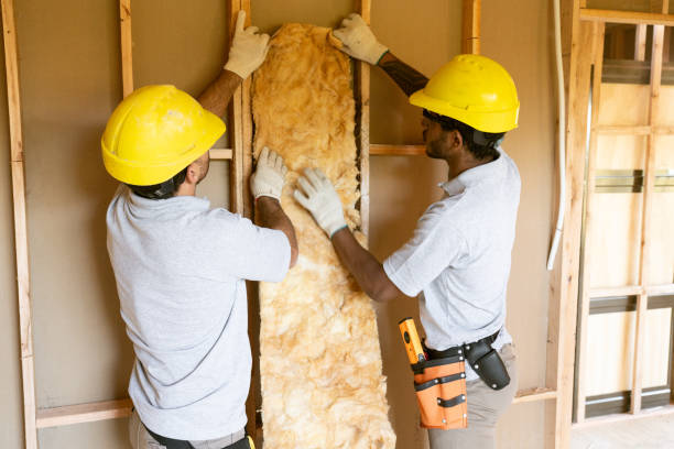 Professional Insulation Contractor in Velda City, MO
