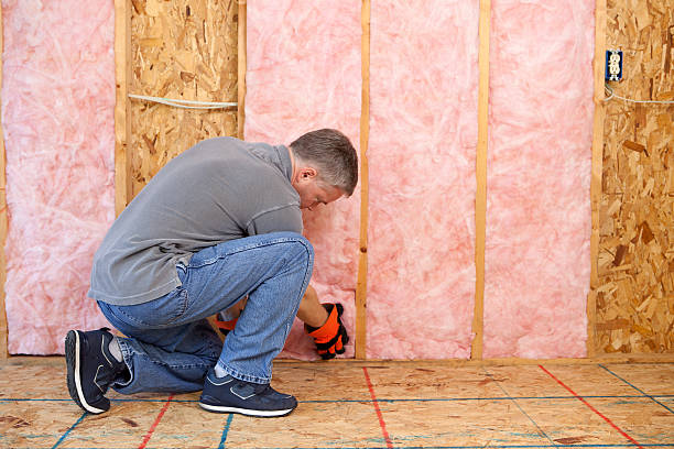 Best Professional Insulation Contractor  in Velda City, MO