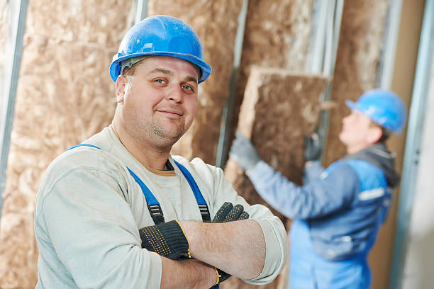 Best Attic Insulation Installation  in Velda City, MO
